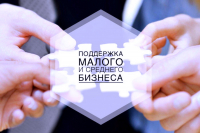 Муниципальная программа «Содействие развитию малого и среднего предпринимательства, а также физических лиц – производителей товаров, работ, услуг, применяющих специальный налоговый режим «Налог на профессиональный доход» в Бикинском муниципальном округе Хабаровского края»