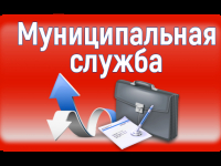 Муниципальная программа «Развитие муниципальной службы в администрации Бикинского муниципального округа Хабаровского края» 